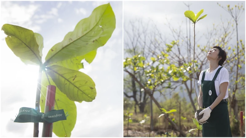 innisfree 2018綠色森林運動開跑,目標10年10萬棵樹!跟著魏如昀在台東種下一棵樹(加映隨身環保小物大公開)