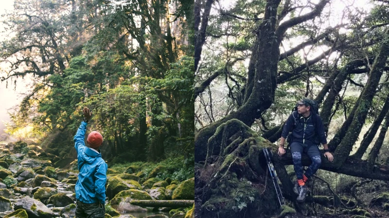 爬山是一種重開機的療癒！岳界型男Marc，「我很喜歡靜靜走在山裡面跟自己對話。」