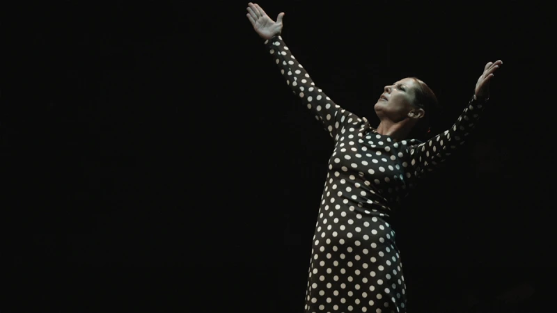 曾在《不可能的任務2》中出演!西巴牙佛朗明哥舞后紀錄片《莎拉巴拉斯:佛朗明哥的呼喚》