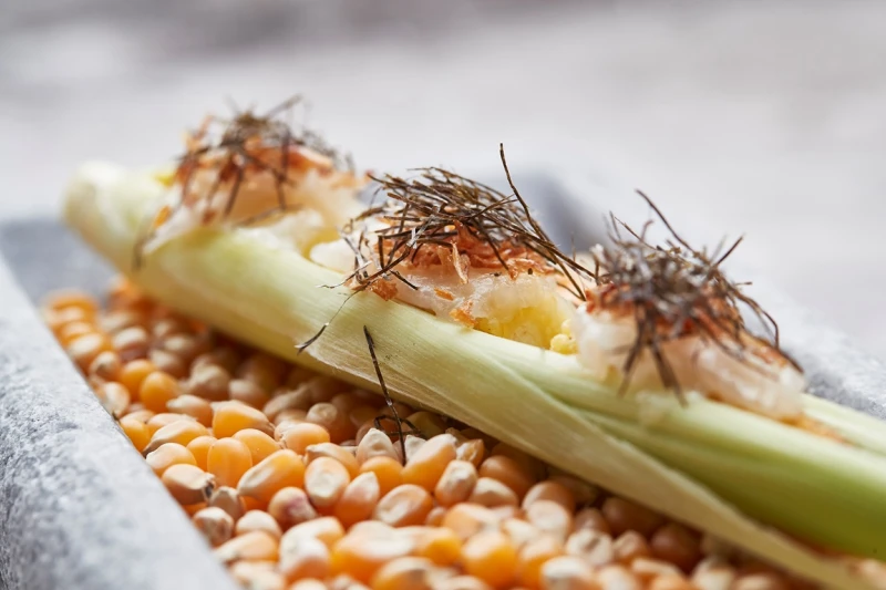 怎麼可以好吃成這樣 上海爆紅米其林蔬食大蔬無界 X 台北米其林餐盤 Orchid 高規格聯手 50款蔬菜吃出蔬服新高度