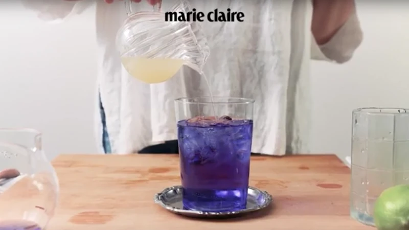 【TGIF】來一杯超夢幻的清涼飲料，蝶豆花茶（Butterfly Pea Tea）