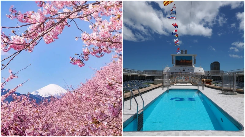 一次收集日、韓經典賞櫻景點!全新翻修「太陽公主號」2019年春季航程來了