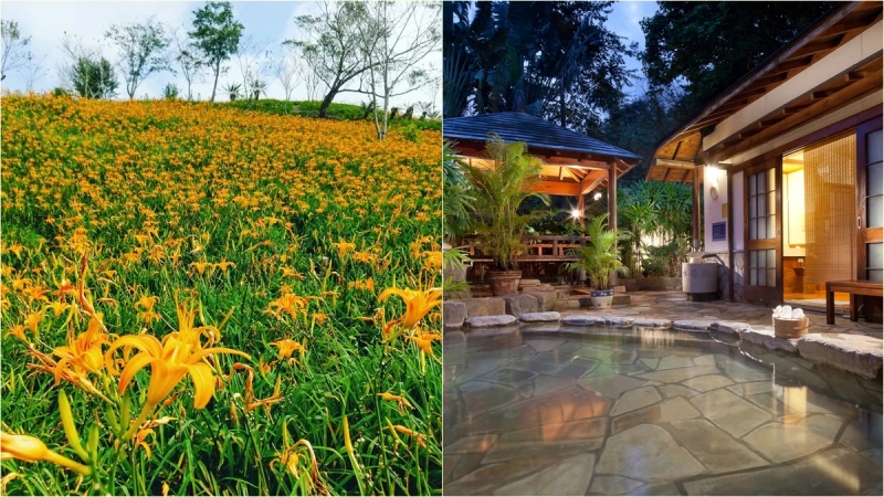 該來知本賞花泡溫泉了!許自己一趟秋日靜好的小旅行吧