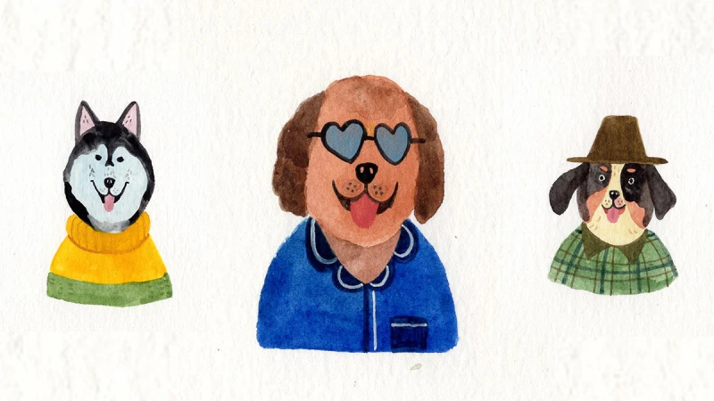 《美麗佳人》 11月星座運勢:「努力的人終究會獲得獎賞。」