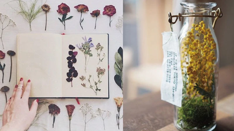 做乾燥花其實就這麼簡單！五種方法居家 DIY 乾燥花，還附上懶人作法！