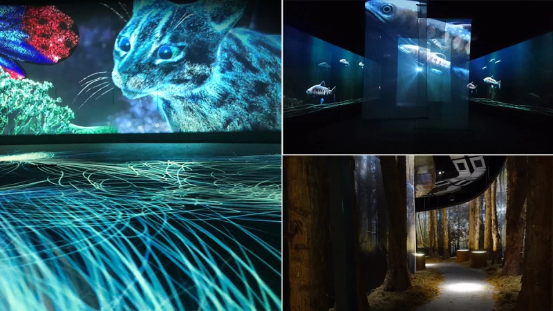 快趁週末衝一波！「台中花博發現館」8大精彩展區，每個角度都美呆！