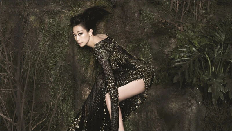 華語天后-林憶蓮 第「0」張精裝黑膠 正式登場!