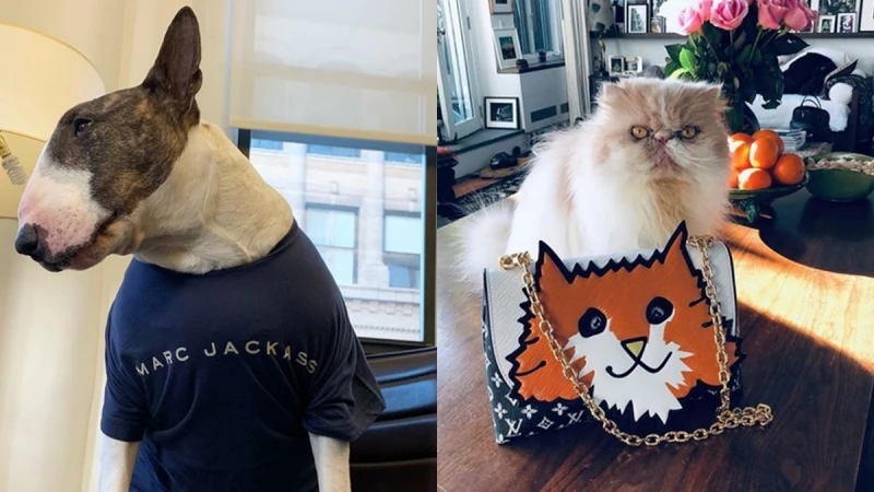 他們都是貓狗奴！時裝設計師和他們萌度爆棚的毛小孩大集合