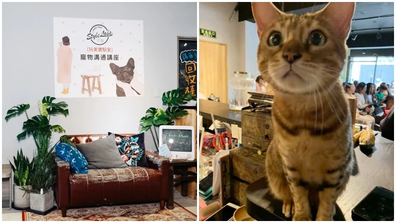 《Style Labs玩美實驗室》4月寵物溝通講座，毛孩們每一隻都是戲精！你讀懂牠們的內心了嗎？