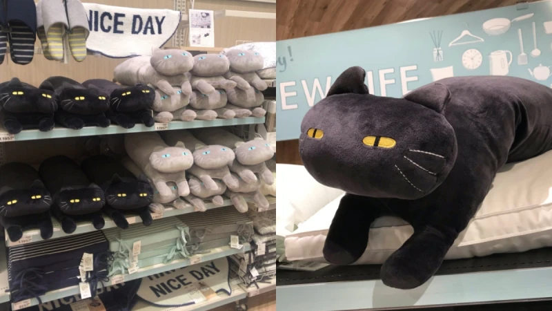 全台秒殺的宜得利「黑貓抱枕」回來了！軟綿綿Q彈觸感、73公分長，根本午睡必備，這次不能再錯過