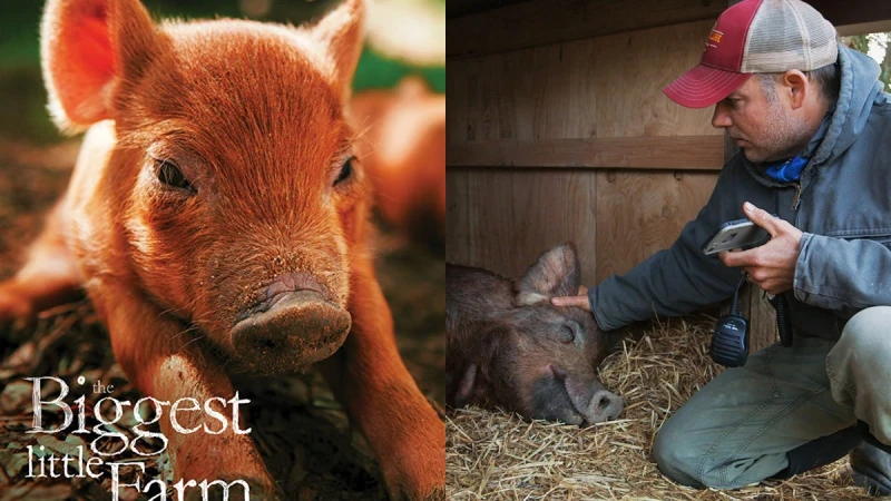 《我家有個開心農場》瘋狂夫妻的真實人生！打造當代版諾亞方舟：「計畫趕不上大自然的變化。」