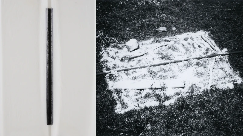 「讓材料自己說話！」日本物派藝術大師菅木志雄《反界結端》個展，奉還藝術話語權的返璞之道