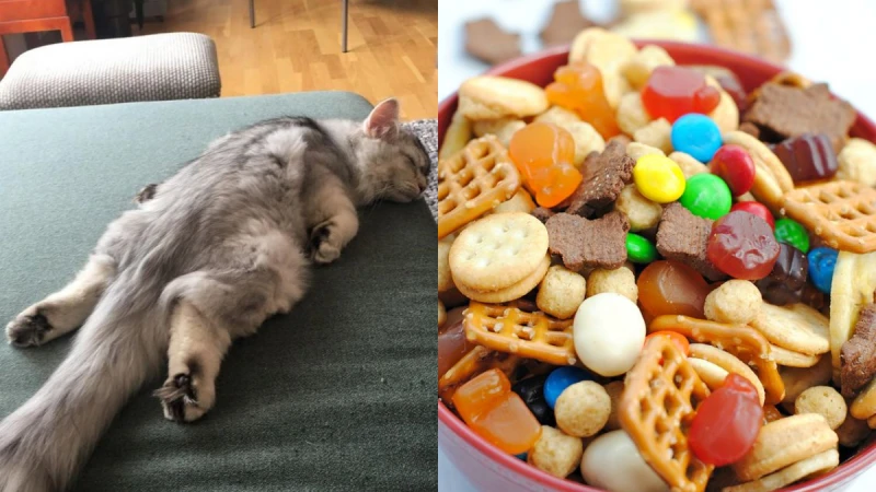 切記切記！健康減肥的時候不許做這5件事！