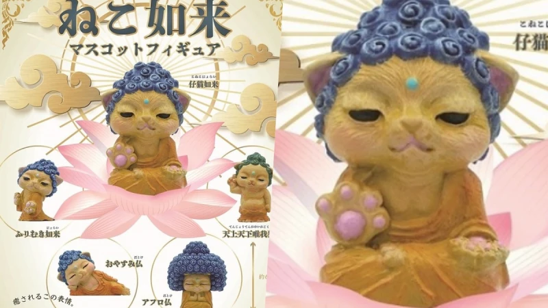 最佛的喵！日本Qualia推「如來神掌喵」公仔扭蛋，佛性爆棚超療癒