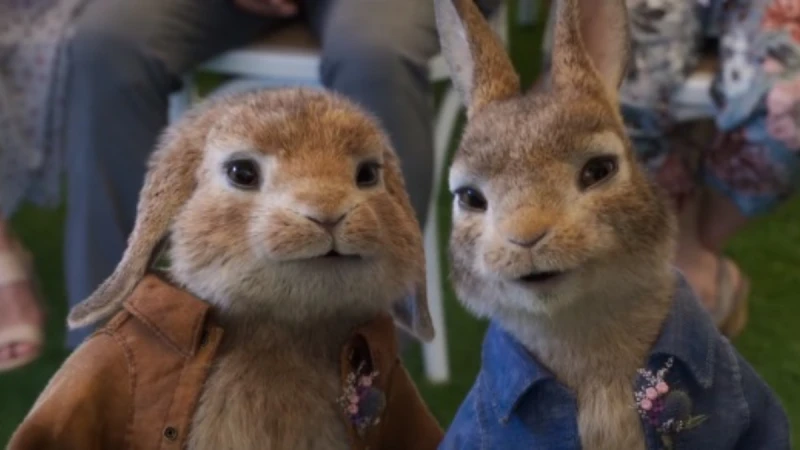 《比得兔兔》最調皮的萌兔回來了！續集決定離家出走：「如果大家都嫌我麻煩，我乾脆自己過就好。」