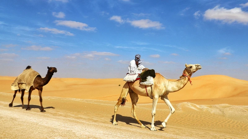 【溫士凱專欄】搭郵輪翻轉阿拉伯1001夜，輕鬆過足富豪夢！