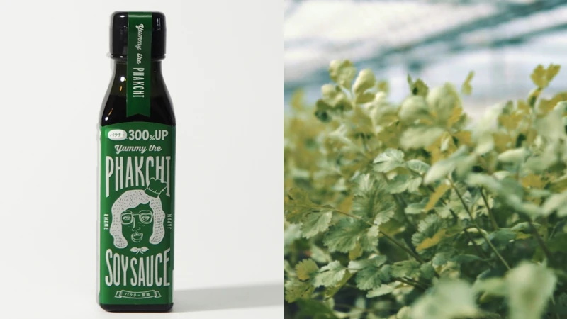 香菜控歡呼！日本老牌推「300% 增量香菜醬油」，濃郁芫荽味久久不散，立刻手刀囤貨吧