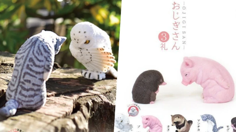 三層肥肉露餡了！日本推「鞠躬動物」第三彈扭蛋登場，貓頭鷹紳士模樣爆炸可愛