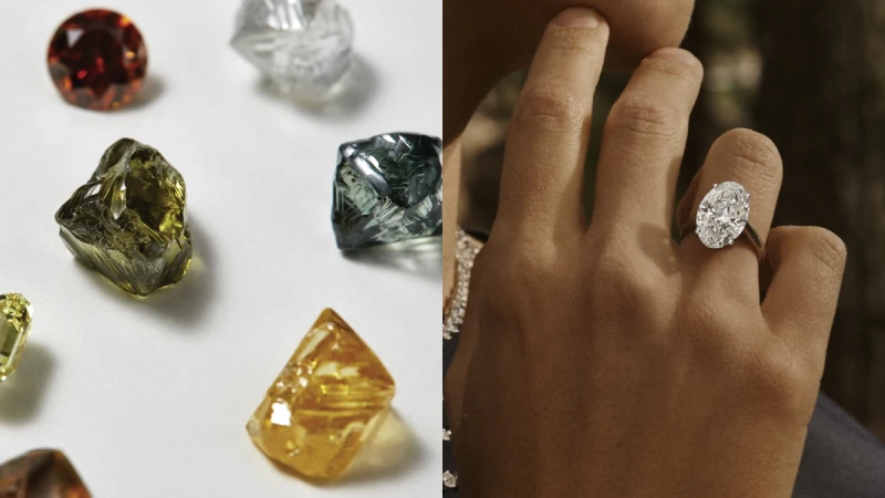 鑽石的美De Beers最知道！「Nature’s Wonders」頂級珠寶展亮點