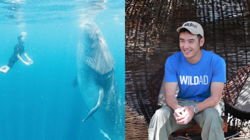 阮經天拍攝《溫柔的巨人》為守護鯨鯊發聲！與鯨鯊共遊珍貴影像曝光，呼籲大家拒吃魚翅