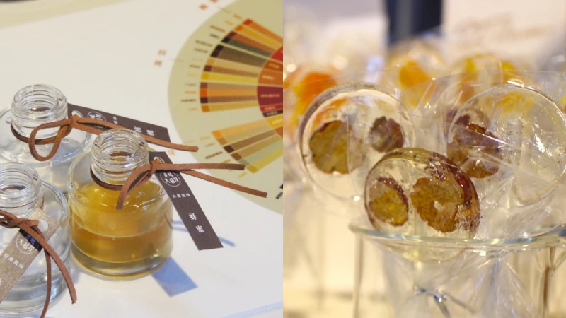 味覺指路！走味大稻埕台南快閃限定店4大亮點公開，病毒食譜、盲測台灣獨特風味飲品來一場顛覆味覺體驗