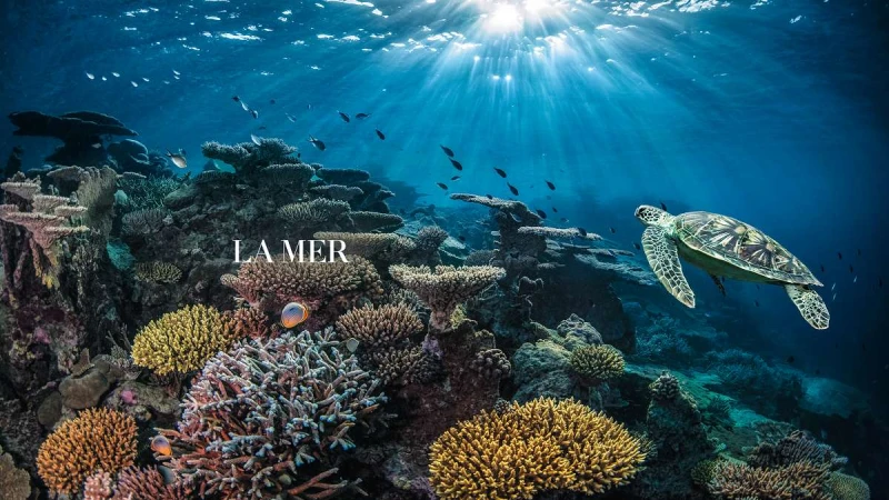 讓我們為地球守住這片蔚藍！海洋拉娜總經理蔡易伶、最愛海的蔡詩芸，談起海洋：「每個人用一點心，讓藍色大海重新充滿生命與希望！」