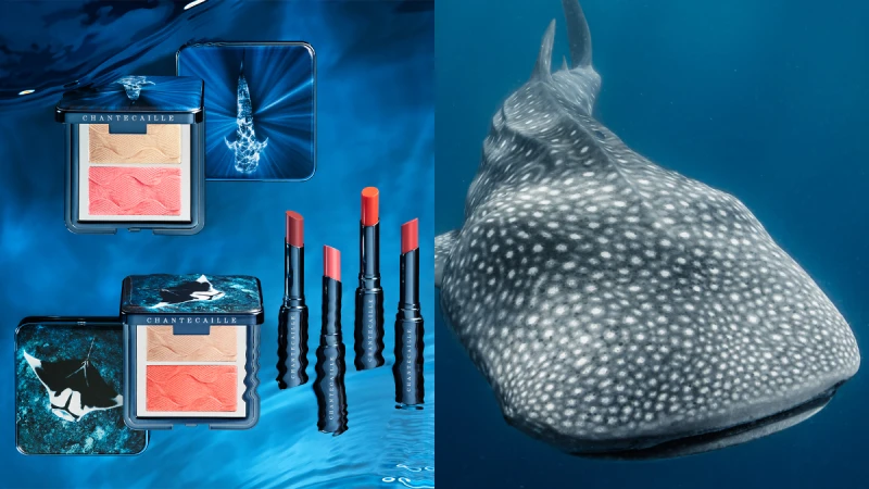 聽海哭的聲音，2020香緹卡保護鯨鯊與瀕危鬼蝠鱝，合作WildAid推出夏季蔚藍海洋慈善彩妝