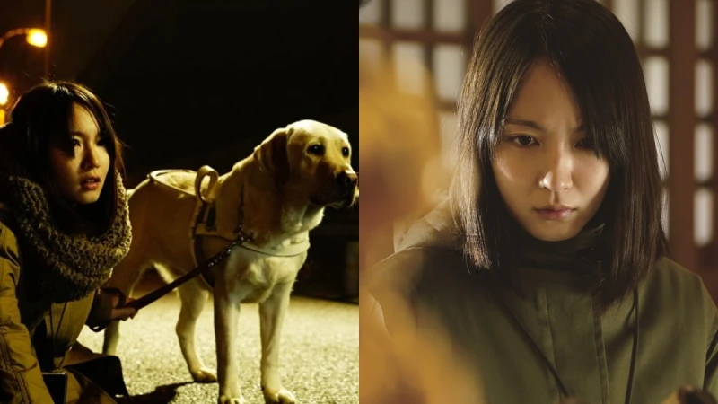 懸疑破表！《看不見的目擊者》改編自韓國人氣電影《盲證》，吉岡里帆扮盲人高難度演技爆發