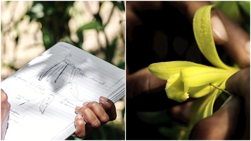 香奈兒用「這個動作」改變了香水業傳統常規，成就了今日N°5香水，最自豪的「植物與環境工法」更是以此為起點