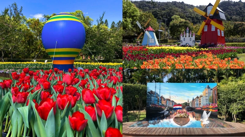2021士林官邸鬱金香展帶你飛出國！11萬株繽紛花海配荷蘭運河、土耳其熱氣球、日本鳥居，成連假出遊首選