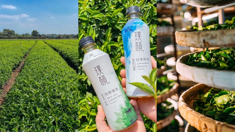 一起喝茶！直擊最美文青茶「璞韻」南投茶廠，深究四季春茶葉秘密與精品級製茶的6大工法