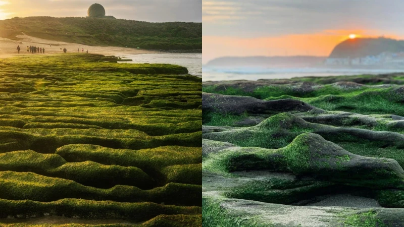 台灣八大秘境「老梅石槽」轉綠了！北海岸期間限定2公里抹茶地毯登場，交通、最佳觀賞期都整理好了