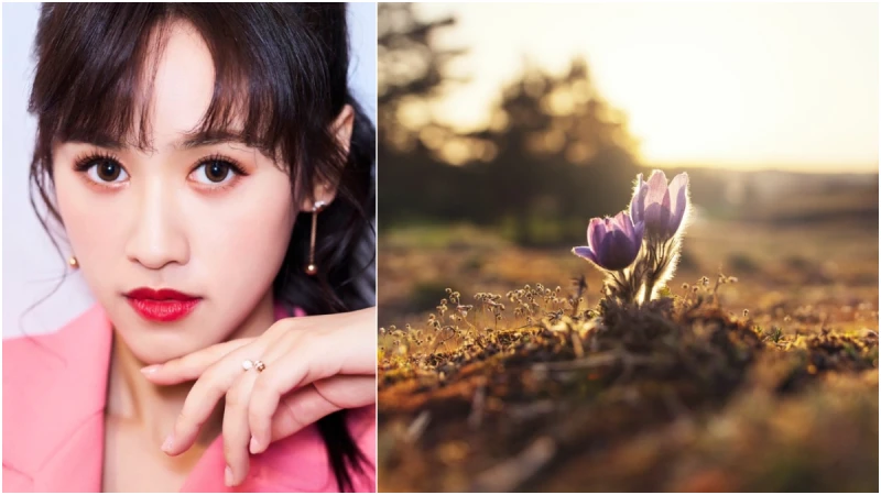 【吳姍儒專欄】因為相信，所以你會長成自己最愛的樣子