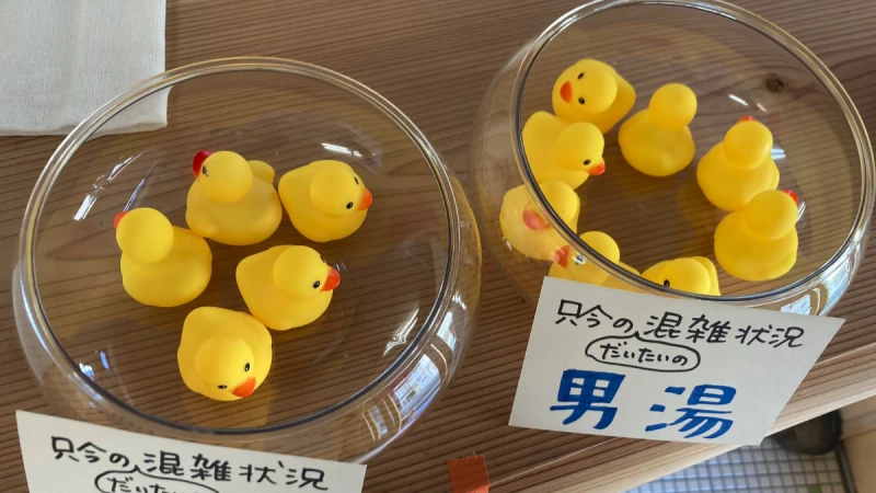 泡湯群聚母湯啦！吉祥物示意泡溫泉「有多擠」 萌翻顧客氣消甘願等