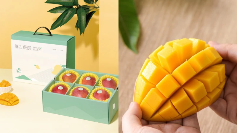 宅配芒果禮盒限量開賣！麻古茶坊推「仲夏芒芒禮盒」愛文芒果每顆更重達420克，甜度高達12度以上，香甜又好吃