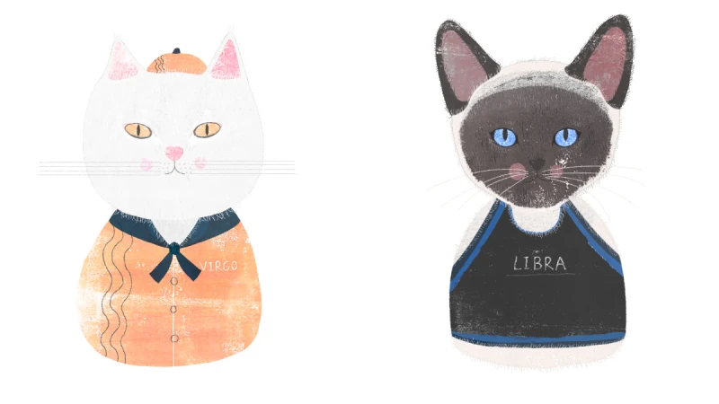 《美麗佳人》9月星座運勢：「六星逆行考驗判斷力！卸下自我保護的偽裝才能得到正向領悟」