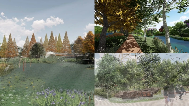 士林將迎來夢幻落羽松廊道！占地2.2公頃「雙溪濕地公園」開放時間曝光