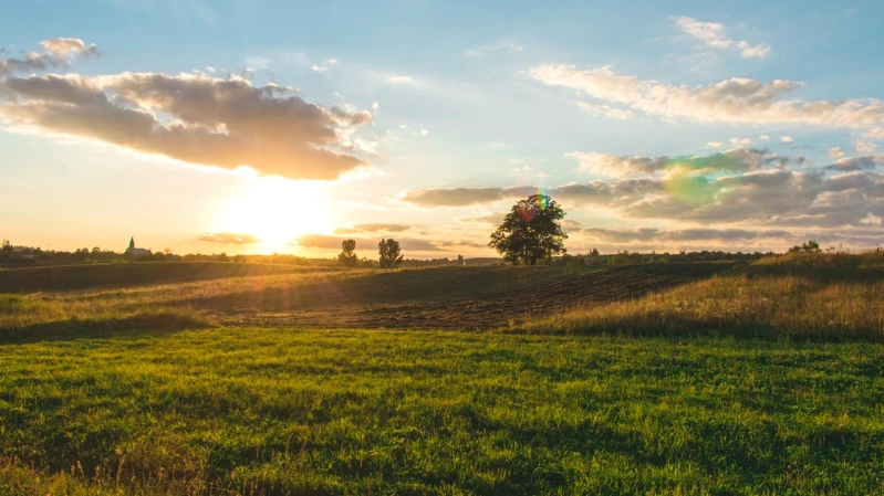 農遊券價值600元！如何登記領券、購買品項、使用地點及時間等QA都在這