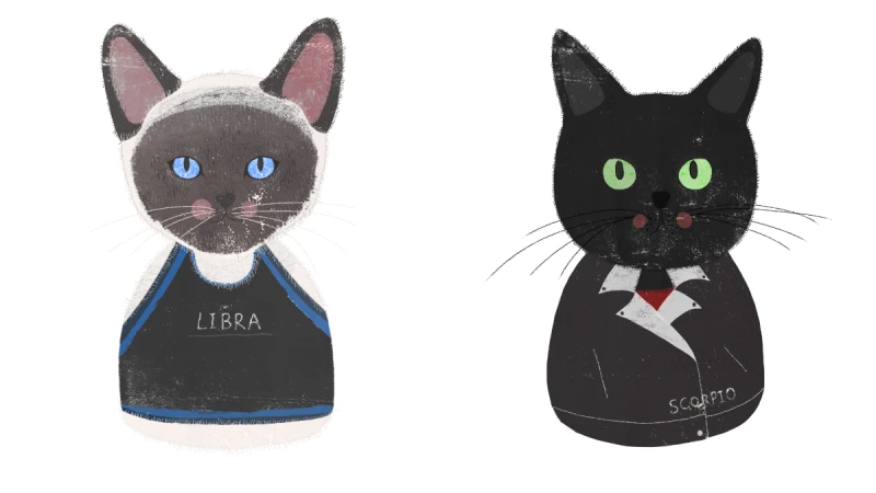 《美麗佳人》10月星座運勢：「水逆至18日轉正，新生活秩序逐漸成形！」