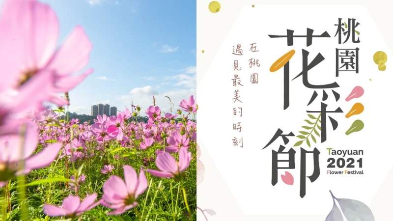 2021桃園花彩節雙展區接力綻放！巨型向日葵迷宮、夜間光雕花田超好拍