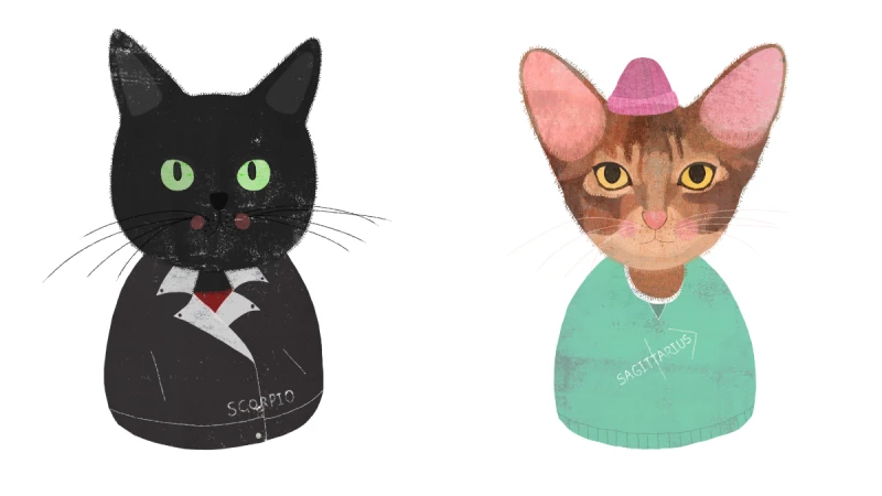 《美麗佳人》11月星座運勢：「本月將有激動人心或意料之外的局面！」