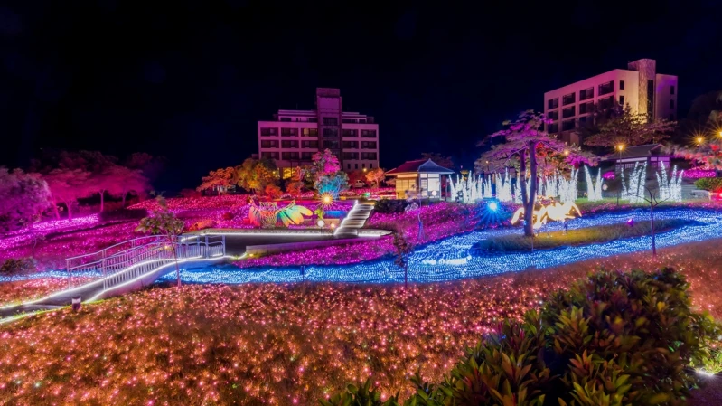 2021四重溪溫泉季限時3個月起跑！整片櫻粉色絢爛燈海，成冬季必拍美景