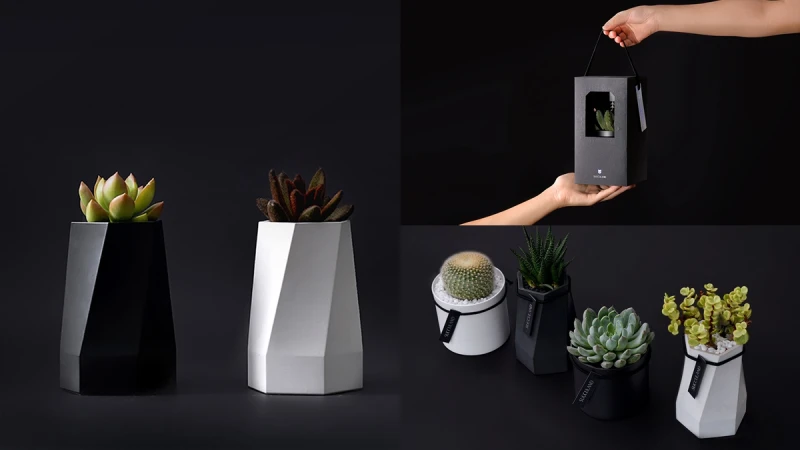 2021聖誕節送禮新選擇！「有肉」清水模幾何植栽質感噴發，還能搭配司康超療癒