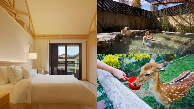 泡湯、餵梅花鹿、拔蔥體驗一次圓夢！入住宜蘭力麗威斯汀拋開城市煩憂，享受當下愜意美好