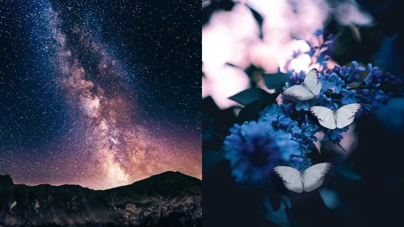 從生命流年數看2022年如何再創人生新格局 實現夢想（含線上計算工具）