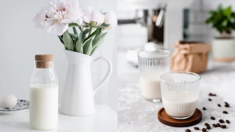 植物奶不是人人都可以喝！營養師告訴妳 植物奶VS.牛奶 哪個更適合妳！