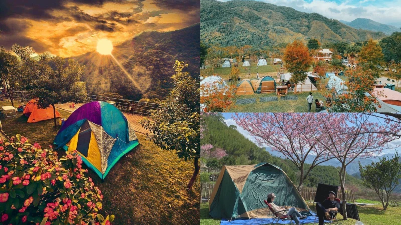 櫻花和雲海盡收眼底，桃園 8 大露營區推薦！感受大自然帶來的小確幸～