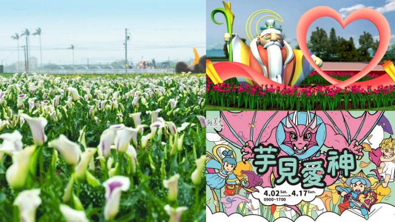 「2022桃園彩色海芋季」迎史上最大規模花海！7.2萬株花海、八座裝置藝術，美到必朝聖一波