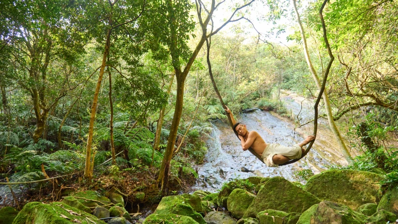僻靜秘境｜療癒學院，月光下12小時望月潮頌缽銅鑼浴，覓得安然靜心的所在