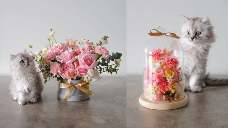 母親節送花最適合！honeyDANIELS Florist絕美花藝藏5句「媽媽無盡的愛」好揪心